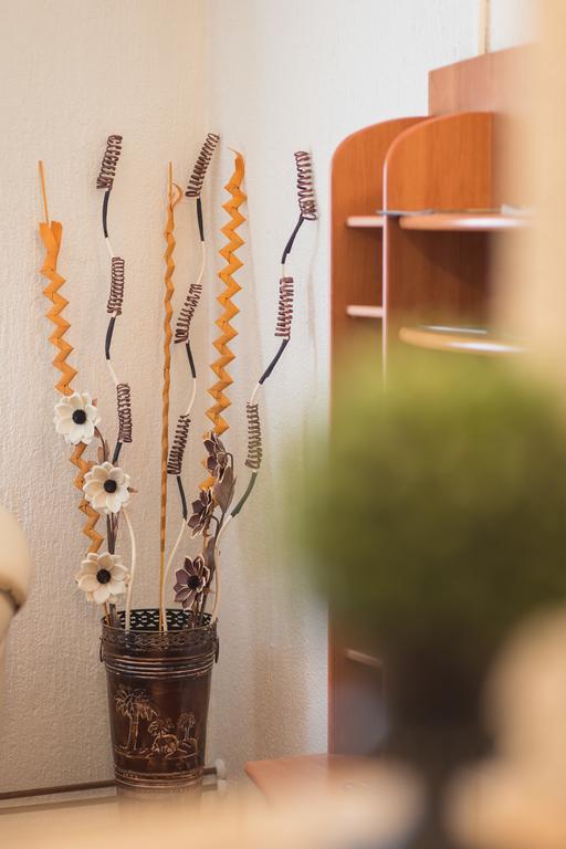 Apartmant & Room Bruna Drežnik Grad Eksteriør bilde